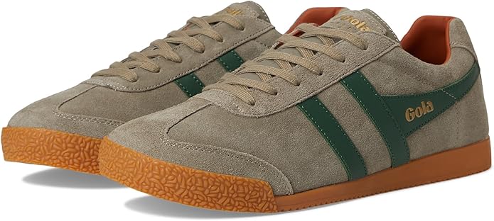 Gola Harrier